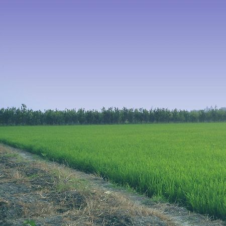 Green Village 1 Cần Thơ Ngoại thất bức ảnh
