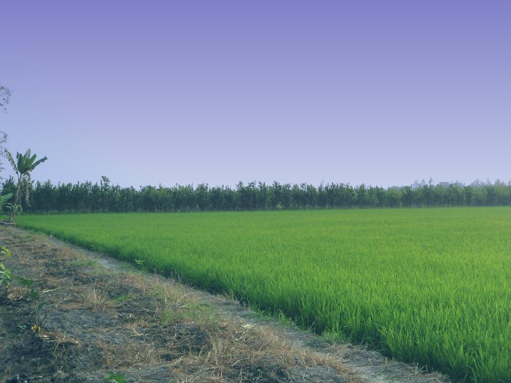 Green Village 1 Cần Thơ Ngoại thất bức ảnh