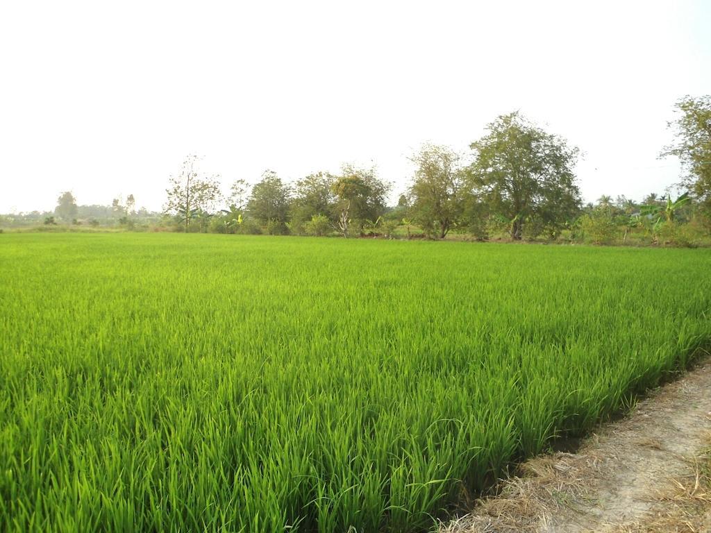 Green Village 1 Cần Thơ Ngoại thất bức ảnh