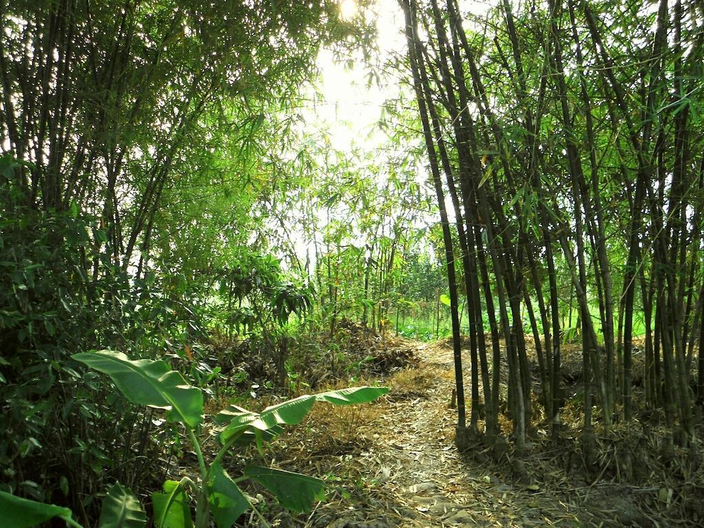 Green Village 1 Cần Thơ Ngoại thất bức ảnh